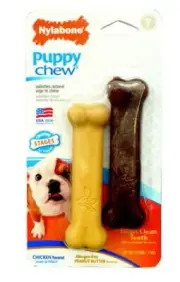 Nylabone Puppy Chew Twin Pack - Chickn/Peanut Butter Petite Null