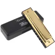 Blues Harmonica Key of C Blues Harp Mouth Organ 10 Hole 20 Tone New