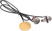 COSMEVIVI Wire Set Pickup Kit for Box Guitar Wiring Universal Fit for Strings Music Instruments Quick Assembly