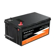 24V 100Ah LiFePO4 Battery Pack Power Bank 25.6V Built-in BMS LiFePO4 Battery for Solar Power System RV House Trolling