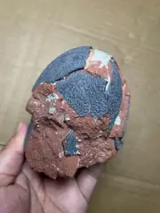 690g Egg Shell stone specimen