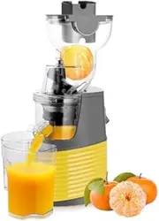 Portable Cold Press Juicer Machines, Pomace Separation Juicer, Multifunctional Portable Juicer Cup, 76mm Diameter Slow Masticating Juicer, for Making Smoothies, Milkshakes