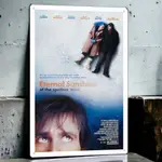 王牌冤家 電影海報鐵皮畫 臺灣製造全現貨 ETERNAL SUNSHINE OF THE SPOTLESS MIND