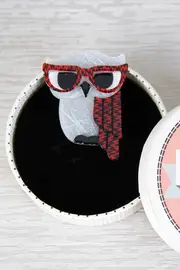 Waldo The Wacky Wise Owl Brooch--ERS-BH4056-1071