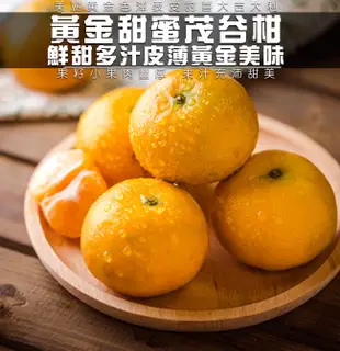 果之家 台灣黃金薄皮爆汁27A特級茂谷柑5台斤 (7.1折)