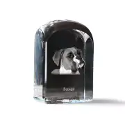 Boxer I crystal stamp with a dog Art-Dog