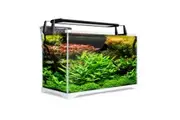 Aquarium Starfire Glass Fish Tank Set Filter Pump 39L