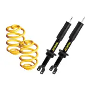 Rear Lowered Monroe Shock Absorbers King Springs for HONDA INTEGRA DA9 89-93
