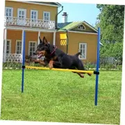 Dog Agility Training Equipment for Dog Obstacle Ajustable Jump Hurdle Bar