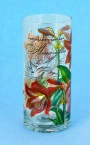NEW Michel Design Works Gorgeous Amaryllis Naturalist Library Glass Flower Vase