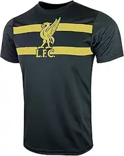 Boy's Liverpool Training Shirt, Licensed Youth Liverpool Short Sleeve Top, T-Shirt