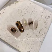 在飛比找蝦皮購物優惠-指甲盒溢出的指甲琥珀指甲倒置韓式設計