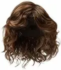 Eva Gabor Curl Up Wig, Gl4-8, Dark Chocolate by Hairuwear