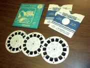 PARROT JUNGLE MIAMI FLORIDA (172ABC) Viewmaster 3 reels PACKET SET vintage