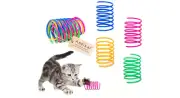 Interactive Cat Toy Spiral Spring Swatting Biting Hunting Kitten Play Toys 12 Pc