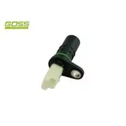 RAE Crankshaft Position Sensor - SC509