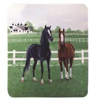 Kentucky Farms Thoroughbreds SAKFT Horse Sherpa Fleece Throw Blanket 50 X 60