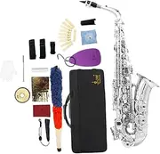 TTETTZ Portable Alto Saxophone Package with Storage Case for Stage Use, argent