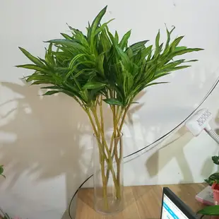 巴西木美人鐵樹假仿真綠植龍須樹龍血樹植物塑料盆栽裝飾絲蘭花草