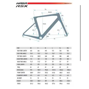 線上單車 2024 HASA RSX 黑色 鑽石黑 全隱藏走線 碳纖維碟煞公路車 自行車 碟煞公路車