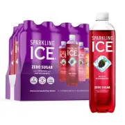 Sparkling Ice Variety Pack Sparkling Water 17 Oz. 12/Pack (TLK95092) 1587979