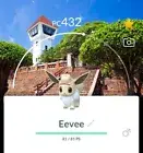 Pokémon Go | Shiny Explorer Eevee Hat | Background Taiwan 1 Million Stardust