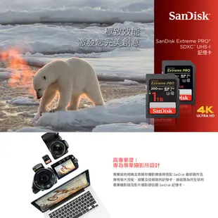 SANDISK 晟碟 Extreme PRO SDXC 64GB 128GB 256GB U3 V30 記憶卡 公司貨