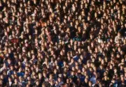 Football Fans on the terraces at Highbury in London, England, cir - Old Photo