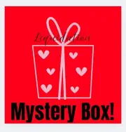 High End Brand Name Resale Liquidation Mystery Box