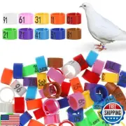 YUXIANLB 100Pcs 8mm Bird Leg Rings, Colorful Readable Numbered Bird Identific
