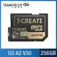 TEAM 十銓 EXPERT S.M.A.R.T. Micro SDXC 記憶卡 256GB (U3 V30 A2) R/W: 170/160MB/sec 黑金