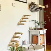 3Pcs Wall-Mounted Cat Hammock with Sisal Stairways & Scratching Posts