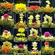 16 Kinds of Handmade Blooming Flower Tea Herbal Tea Great Fragrant Green Tea Herbal Tea Scented Tea Flower Tea Botanical Tea Herbs Tea Raw Tea Green Food Flowers Tea Health Tea Chinese Tea