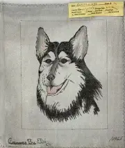 Hand-Painted Black White ALASKAN MALAMUTE DOG Needlepoint Canvas 8" x 10"