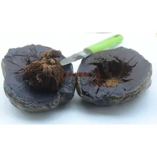 黑柿(巧克力布丁果)種子包（內含20粒大果所取出種子），東東生態農場出品