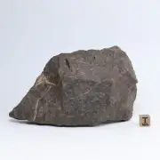 735g Chondrite Meteorite,NWA unclassified Meteorite, From Northwest Africa AB140