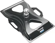Reese 58079"The Goose Gooseneck Hitch-25K