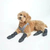 在飛比找Yahoo!奇摩拍賣優惠-狗狗輪椅專用腳套泰迪犬防滑防臟寵物腳套襪子防抓手大型犬