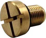 EVER STORE 17111712788 Coolant Bleeder Screw Compatible for E46 E92 E90 E36 E39 & Mini Cooper