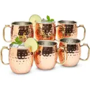 Moscow Mule Mugs Set of 6| Food Safe | High Grade Stainless Steel Mugs With P...