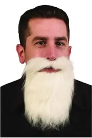 White Mustache & Long Beard Costume Accessory One Size