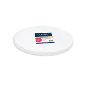 14in Round 12mm Drum Cake Board - White