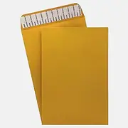 150 Cashier Depot 6" X 9" Self Adhesive Catalog Mailing Envelopes, Heavyweight 28lb. Paper, 150 Envelopes (28lb. Brown Kraft)