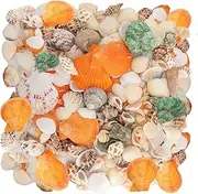 110+ Pcs Mixed Sea Shells Beach Seashells Starfish for Crafts Natural Various Sizes Ocean Conch Starfish Shells for DIY Home Fish Tank Vase Fillers Decorations Decorating Beach Theme Party