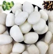 Yiszm 40 Pounds White River Rocks 2-3 Inch Natural Pebbles Plants Aquariums New