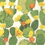 Cactus Party Serviettes Paper Napkins - 40 Count | 2 Packs of 20CT 3-Ply Cocktail Napkins