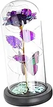 JEWEDECO Preserved Rose Glass Dome Led Light Elegant Flower Decor for Valentine Day Mother Day Birthday for Her Unique Home Ornament for Mom Wife Girlfriend