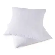 Throw Pillow Inserts, Set of 2 Down Feather Pillows Inserts Bed and Couch Pil...