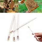 Royal Jelly Beekeeping Tools Bees Grafting Pen Scraper Pulp Bee Squeegee