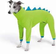 ESCCBOO Italian Greyhound & Whippet Dog Fleece Dinosaur Onesie, Cozy Turtleneck Costume Outfit (Green, Large)